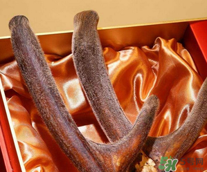 鹿茸不能和什么一起吃？鹿茸不能與什么同食？