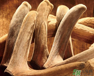 鹿茸不能和什么一起吃？鹿茸不能與什么同食？