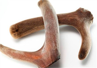 鹿茸熬雞起什么功效？鹿茸雞湯的功效