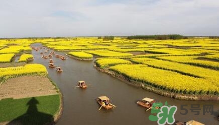 四月份去哪里旅游比較好？四月份最適合旅游的地方