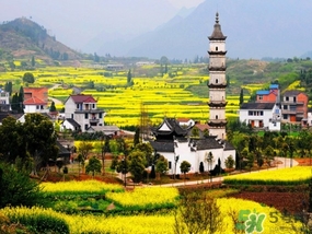 四月份去哪里旅游比較好？四月份最適合旅游的地方