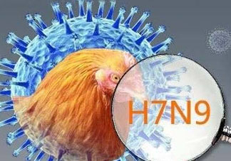 四月份還有禽流感嗎？4月份是禽流感高發(fā)期嗎？