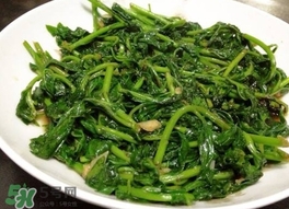 枸杞頭怎么吃？枸杞頭如何吃