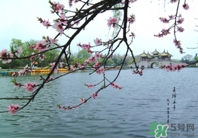 四月份去哪里旅游比較好？四月份最適合旅游的地方