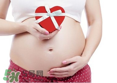 枸杞頭孕婦能吃嗎？枸杞頭孕婦可以吃嗎