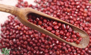 赤豆是什么豆？赤豆是紅豆嗎