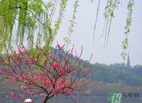 四月份去哪里旅游比較好？四月份最適合旅游的地方