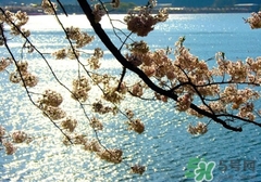 四月份去哪里旅游比較好？四月份最適合旅游的地方