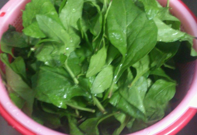 枸杞葉能吃嗎？枸杞葉怎么吃