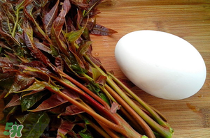 孕婦能吃春芽炒鵝蛋嗎？香椿炒鵝蛋孕婦能吃嗎？