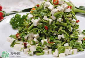 香椿可以助孕嗎？香椿有助孕的功效嗎？