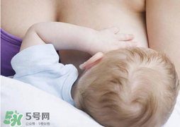 香椿會回奶嗎？吃香椿會回奶嗎？