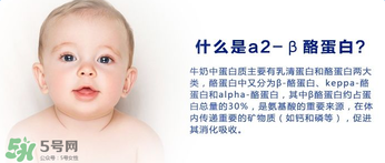 A2奶粉分幾種？A2奶粉有幾個(gè)種類？