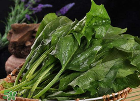 香椿和菠菜能一起吃嗎？香椿和菠菜能一起吃好嗎？