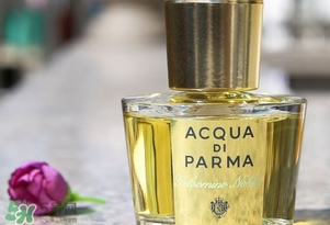 帕爾瑪之水是什么牌子？帕爾瑪之水是什么檔次？