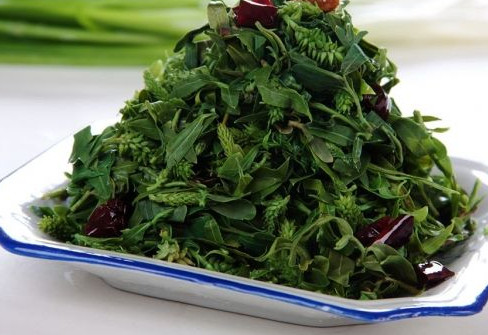 刺兒菜能吃嗎？刺兒菜可以吃嗎