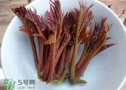 香椿和雞肉可同吃嗎？香椿和雞肉能一起吃嗎？