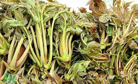 香椿和平菇能一起吃嗎？香椿和香菇能一起吃嗎？