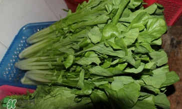 枸杞葉能生吃嗎？枸杞葉可以生吃嗎