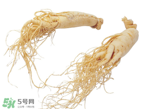 孕婦能吃人參嗎？孕婦可以吃人參嗎？