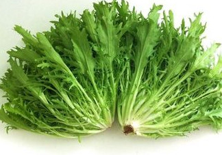 苦苣怎么吃？炒苦苣菜的做法