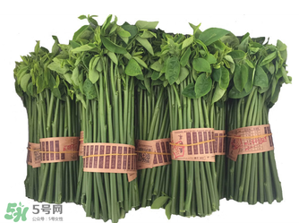 樹仔菜有毒嗎？樹仔菜有沒有毒？