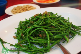 樹仔菜有毒嗎？樹仔菜有沒有毒？