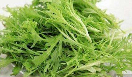 苦苣菜能生吃嗎？苦苣菜可以生吃嗎