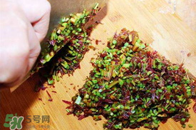 香椿和鴨肉能一起吃嗎？香椿和鴨肉可以同時吃嗎？