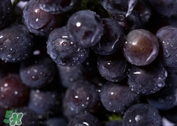 歐緹麗和雅漾哪個好？歐緹麗和雅漾哪個高端？