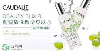 歐緹麗和悅木之源哪個(gè)好？歐緹麗皇后水和悅木之源菌菇水