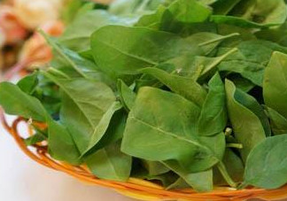 枸杞葉能炒著吃嗎？枸杞葉能涼拌嗎