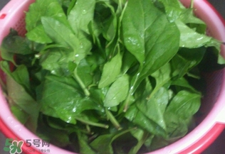 枸杞葉能生吃嗎？枸杞葉可以生吃嗎