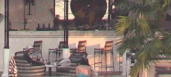 白百合出軌了嗎？白百合陳羽凡離婚了嗎？