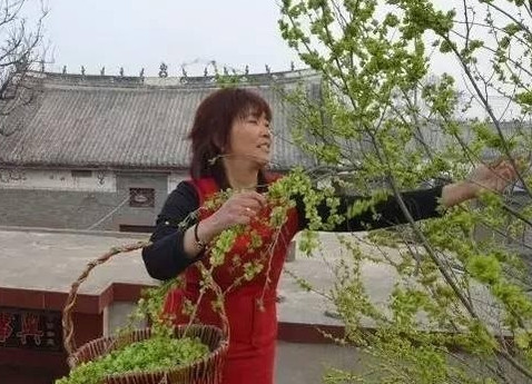 榆錢怎么蒸？蒸榆錢的做法