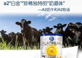 A2奶粉分白金和鉑金嗎？A2奶粉白金鉑金有區(qū)別嗎？