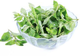 枸杞葉能生吃嗎？枸杞葉可以生吃嗎