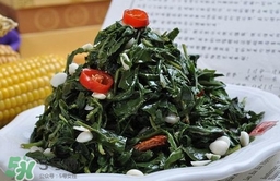 苦菜對人有什么好處？苦菜有什么功效