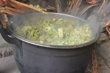 榆錢怎么蒸？蒸榆錢的做法