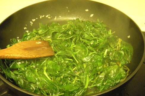 吃枸杞葉有什么好處？枸杞葉的功效與作用