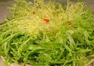 孕婦能吃苦苣嗎？孕婦可以吃苦苣嗎