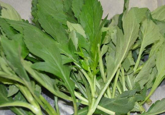 苦苣怎么做好吃？苦苣怎么吃好吃