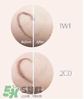 雅詩(shī)蘭黛全新持妝氣墊色號(hào) 雅詩(shī)蘭黛全新持妝氣墊試色