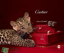 卡地亞是什么材質(zhì)？卡地亞是金的嗎？