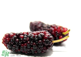 桑葚可以冷凍嗎？桑葚能冷凍保存嗎？