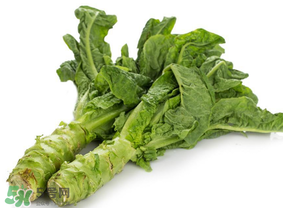 萵筍為什么會苦？萵筍苦能吃嗎？