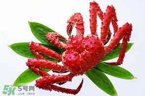 香椿能和海鮮一起吃嗎？香椿和海鮮能一起吃嗎？