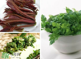 香椿和香菜能一起吃嗎？香椿和香菜怎么做？