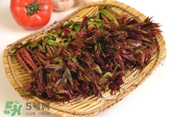 香椿葉能吃嗎？香椿葉孕婦能吃嗎？