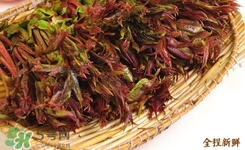 香椿葉能吃嗎？香椿葉孕婦能吃嗎？